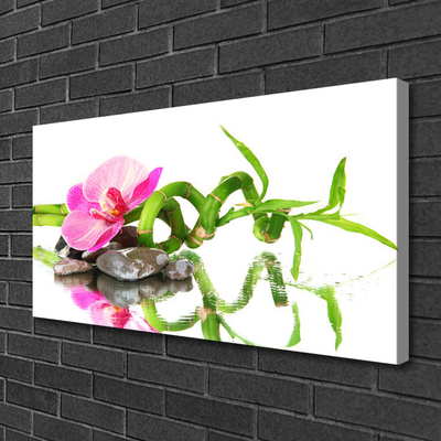 Photo sur toile Bambou fleurs pierres art vert rose gris