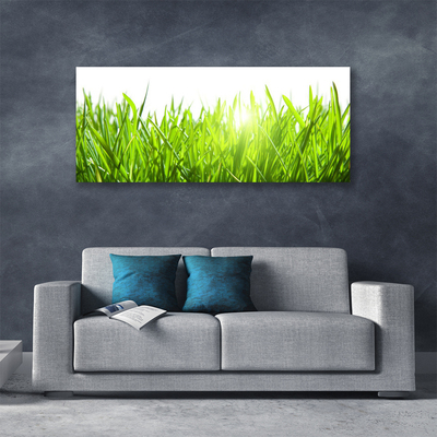 Photo sur toile Herbe nature vert