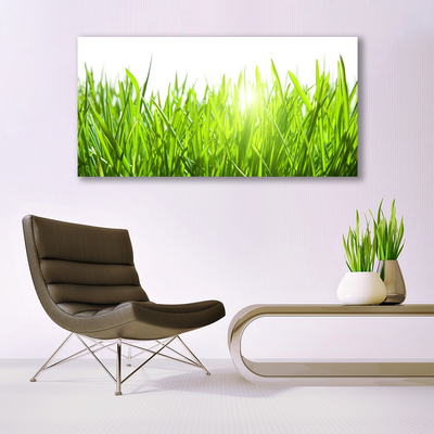 Photo sur toile Herbe nature vert