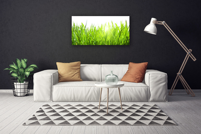 Photo sur toile Herbe nature vert