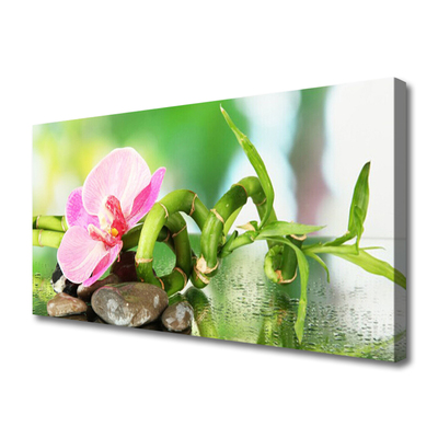 Photo sur toile Pierres fleurs bambou nature vert rose gris