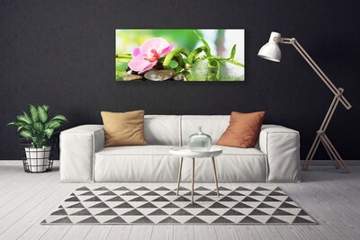 Photo sur toile Pierres fleurs bambou nature vert rose gris