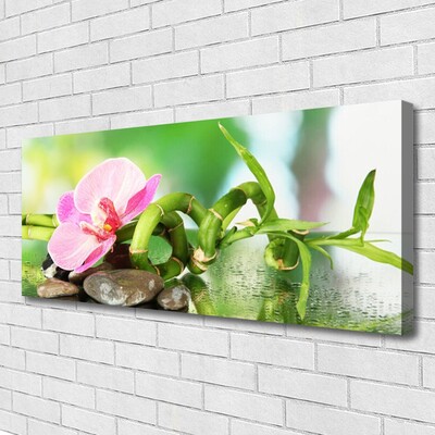 Photo sur toile Pierres fleurs bambou nature vert rose gris