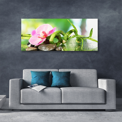 Photo sur toile Pierres fleurs bambou nature vert rose gris