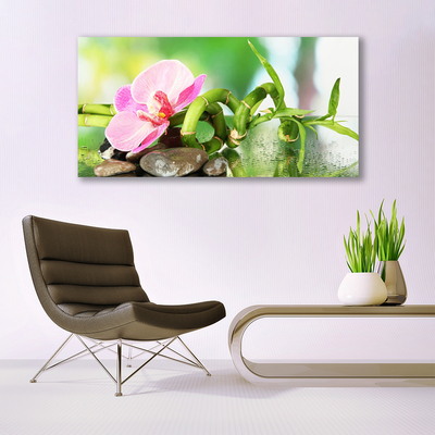 Photo sur toile Pierres fleurs bambou nature vert rose gris