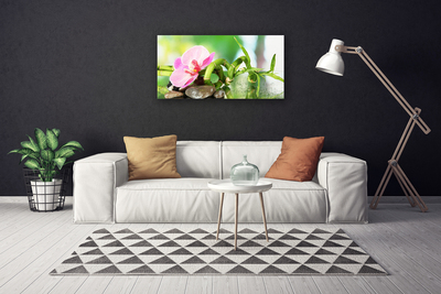 Photo sur toile Pierres fleurs bambou nature vert rose gris