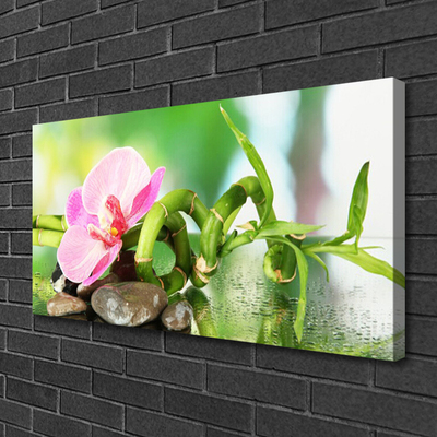 Photo sur toile Pierres fleurs bambou nature vert rose gris