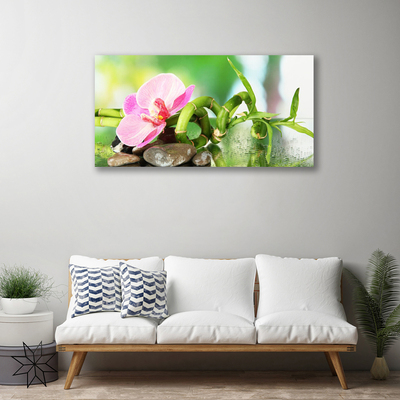 Photo sur toile Pierres fleurs bambou nature vert rose gris