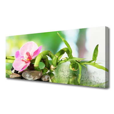 Photo sur toile Pierres fleurs bambou nature vert rose gris