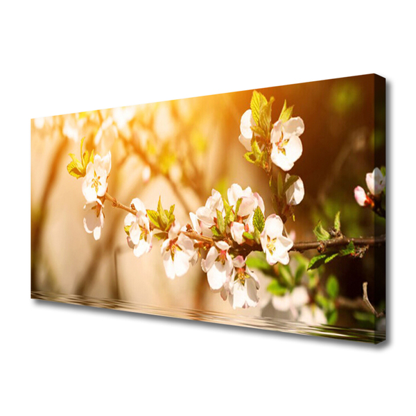 Photo sur toile Fleurs floral blanc