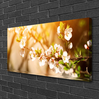 Photo sur toile Fleurs floral blanc