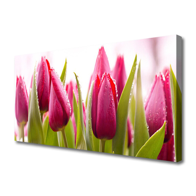 Photo sur toile Tulipes floral rouge