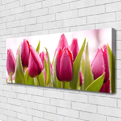 Photo sur toile Tulipes floral rouge