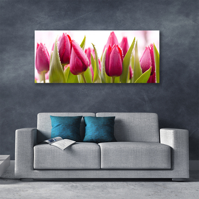 Photo sur toile Tulipes floral rouge