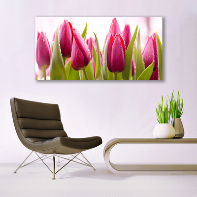 Photo sur toile Tulipes floral rouge