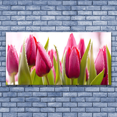 Photo sur toile Tulipes floral rouge