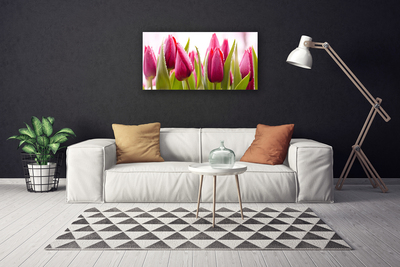 Photo sur toile Tulipes floral rouge