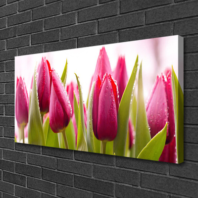 Photo sur toile Tulipes floral rouge