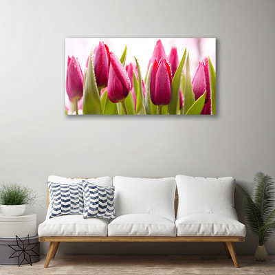 Photo sur toile Tulipes floral rouge