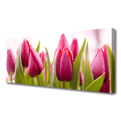 Photo sur toile Tulipes floral rouge