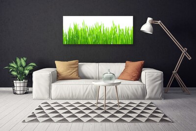 Photo sur toile Herbe nature vert