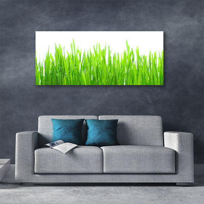 Photo sur toile Herbe nature vert