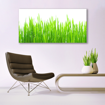 Photo sur toile Herbe nature vert