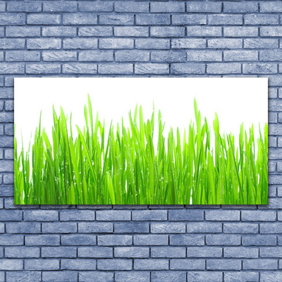 Photo sur toile Herbe nature vert