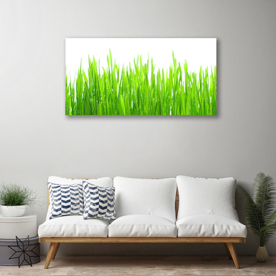 Photo sur toile Herbe nature vert