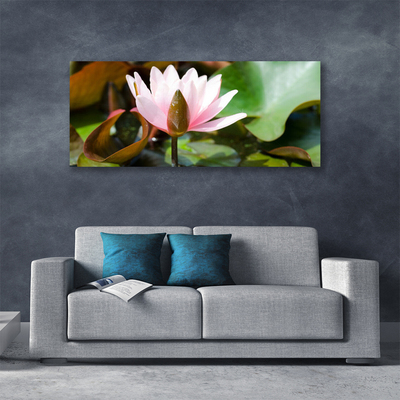 Photo sur toile Fleur floral rose