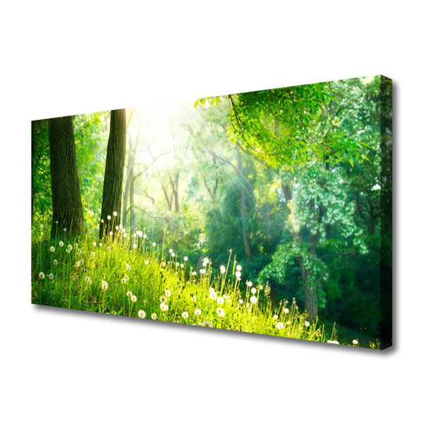 Photo sur toile Prairie nature vert