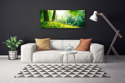 Photo sur toile Prairie nature vert