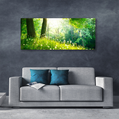 Photo sur toile Prairie nature vert