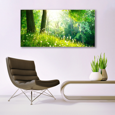 Photo sur toile Prairie nature vert