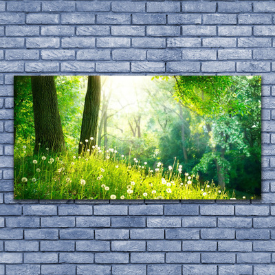 Photo sur toile Prairie nature vert