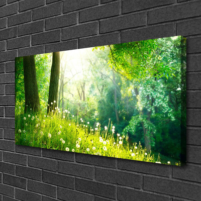 Photo sur toile Prairie nature vert