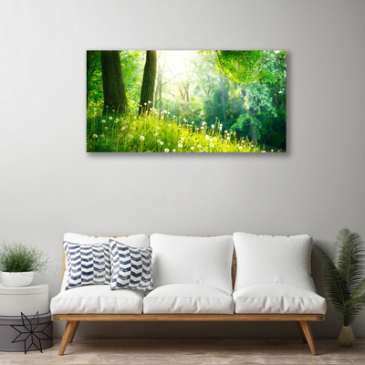 Photo sur toile Prairie nature vert