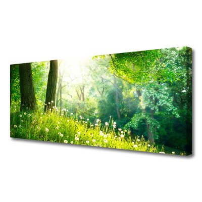 Photo sur toile Prairie nature vert