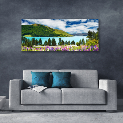 Photo sur toile Montagnes lac prairie forêt paysage vert bleu violet rose