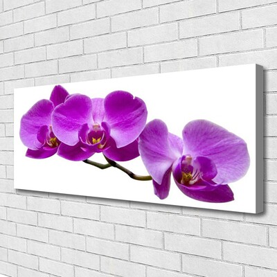 Photo sur toile Fleurs floral rose