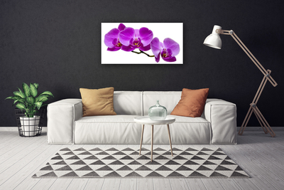 Photo sur toile Fleurs floral rose