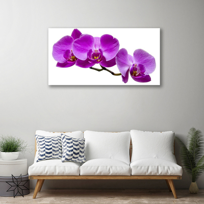 Photo sur toile Fleurs floral rose