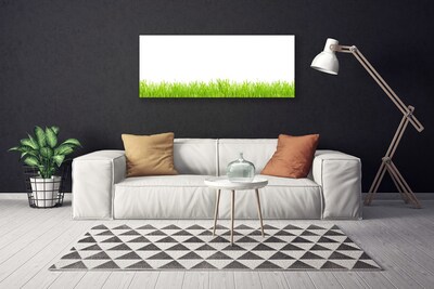 Photo sur toile Herbe nature vert