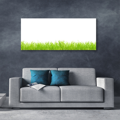 Photo sur toile Herbe nature vert