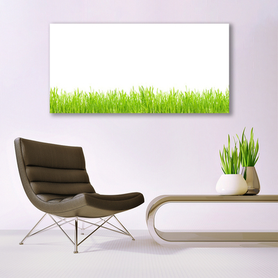 Photo sur toile Herbe nature vert