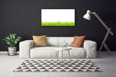 Photo sur toile Herbe nature vert