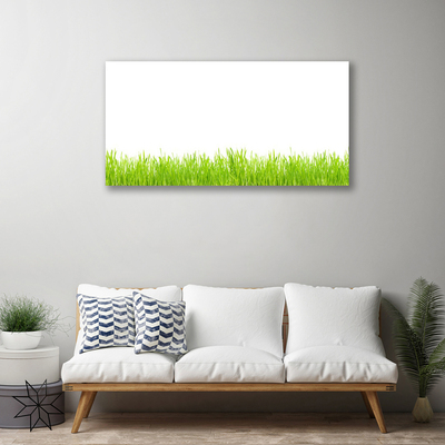 Photo sur toile Herbe nature vert