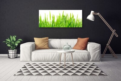 Photo sur toile Herbe nature vert