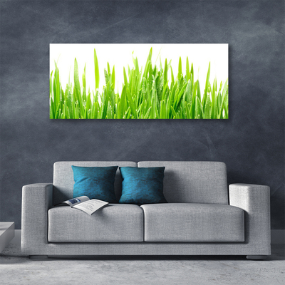 Photo sur toile Herbe nature vert