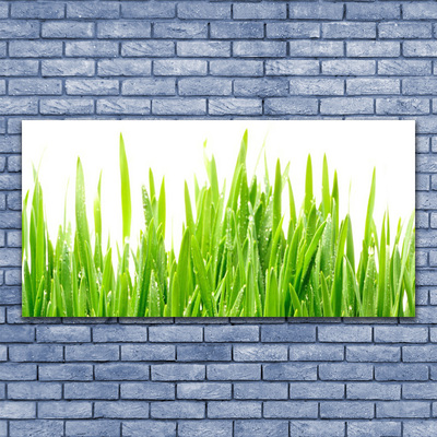 Photo sur toile Herbe nature vert